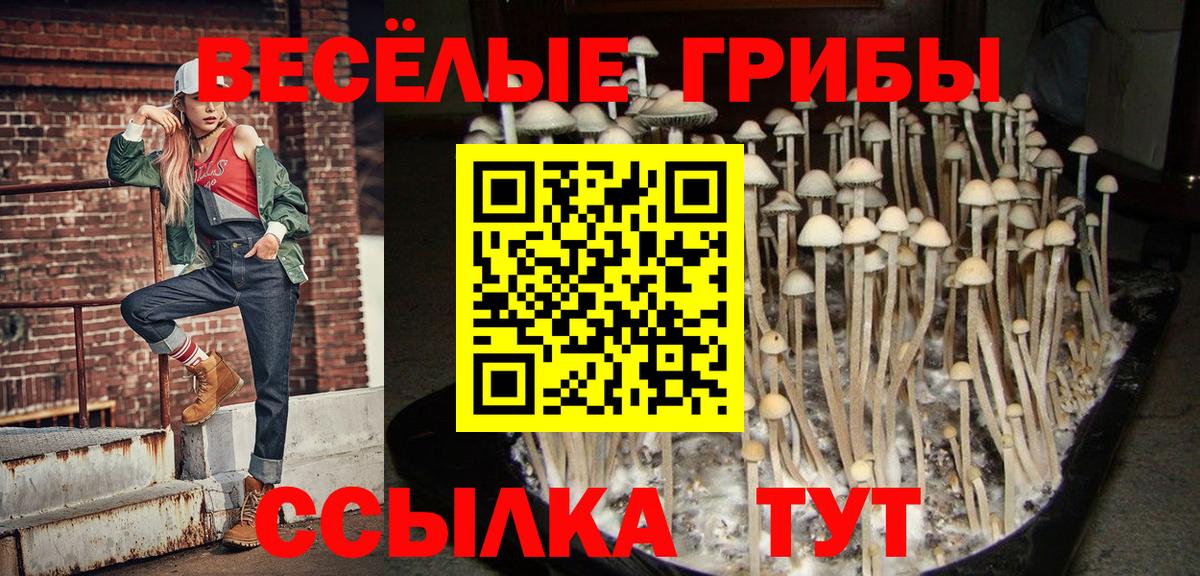 Галлюциногенные грибы мицелий Алушта