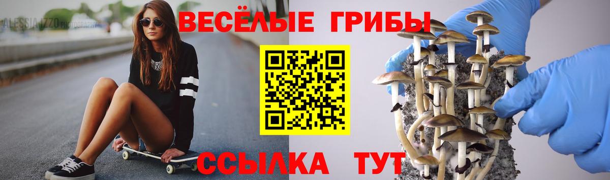 Алушта  Псилоцибиновые грибы GOLDEN TEACHER  Вход с VPN 
